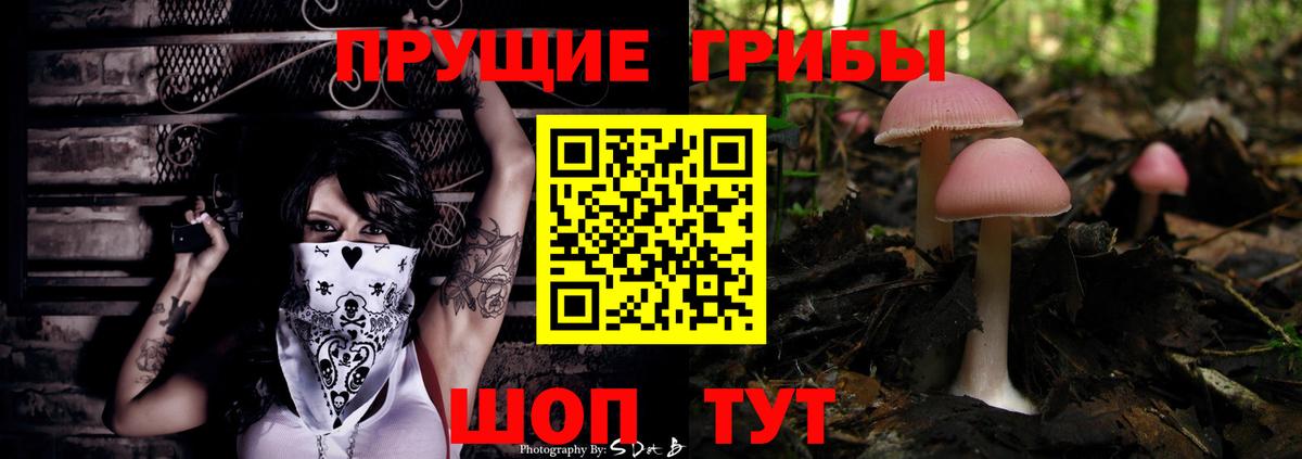 Псилоцибиновые грибы Cubensis Санкт-Петербург