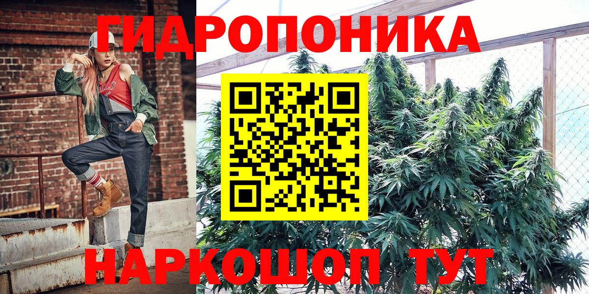 Санкт-Петербург  Шишки марихуана индика  Канабис тримм  Вход с VPN  МАРИХУАНА AK-47 